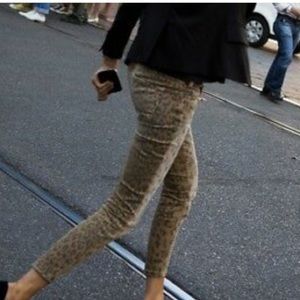 Current Elliot High Waist Stiletto Leopard Pants
